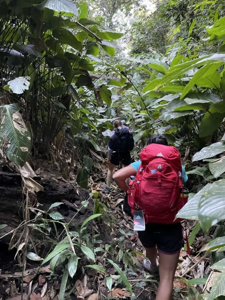 Perfect Backpack for Adventurous Travelers: Gregory Jade 38 -