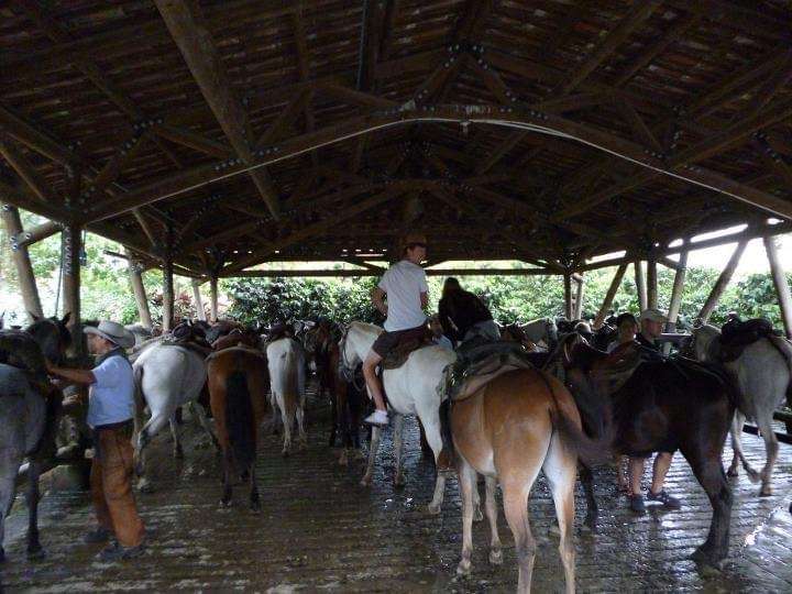 Cocora Valley Colombia Horseback Riding