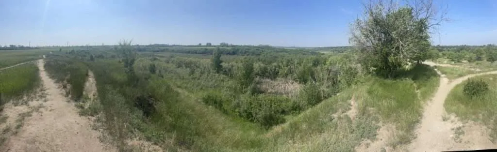 Peturrson’s Ravine, another one of the many good hiking spots in saskatoon