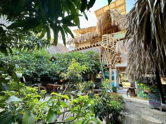 10 Best Hostels & Hotels in Palomino Colombia for the Ultimate Experience -
