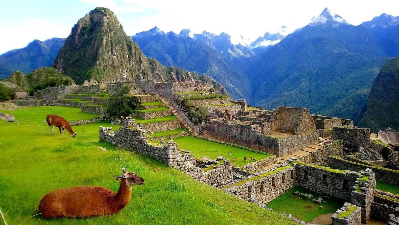 Machu Picchu with Alpacas